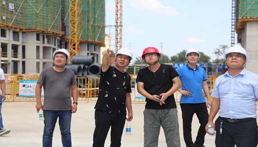 星空体育入口董事会巡检圆满完成